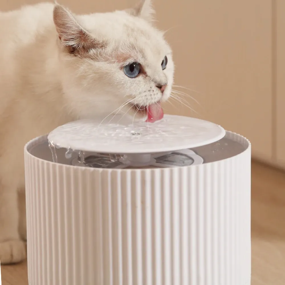 10% OFF: FurryTail Automatic Clear Cat Drinking Fountain 2L