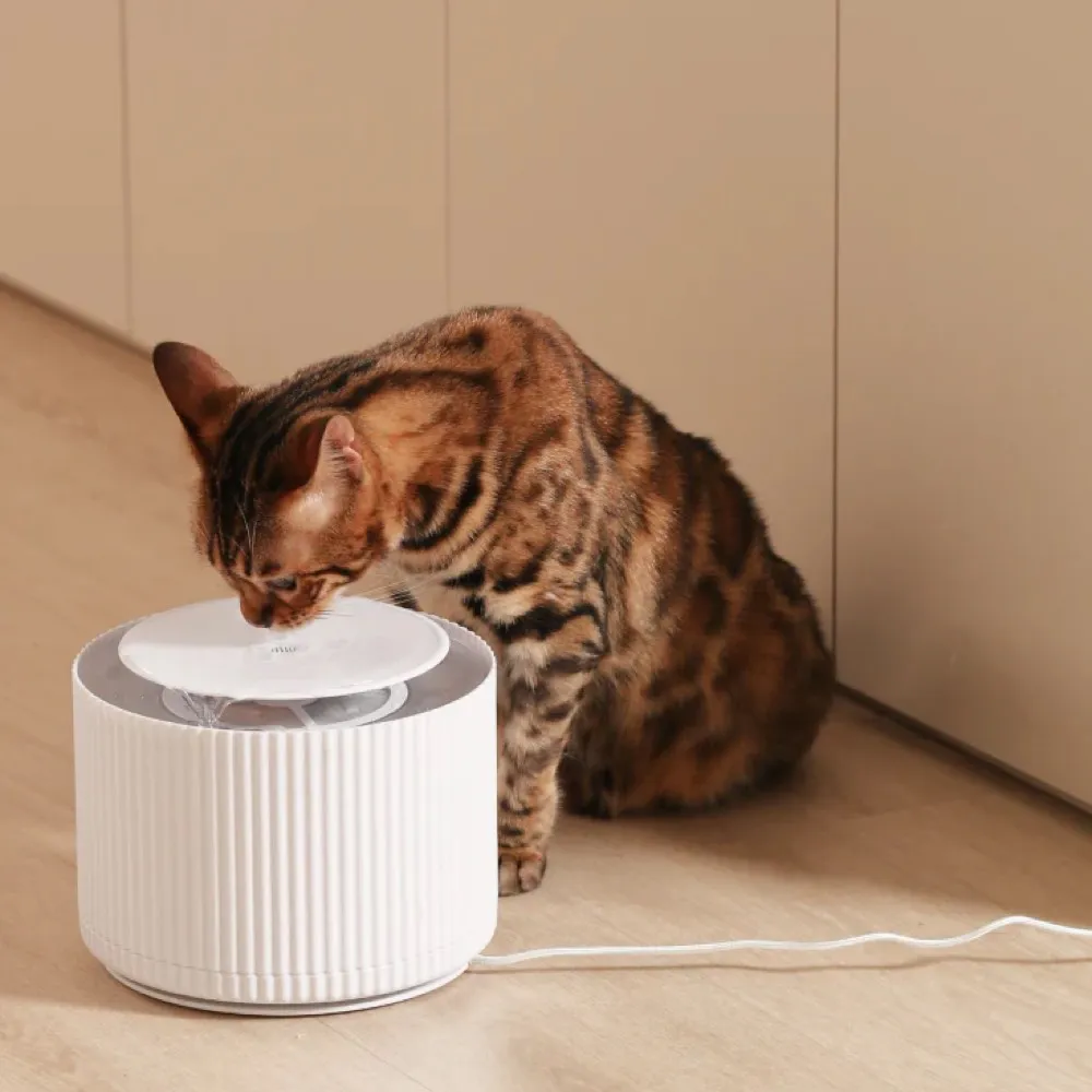 10% OFF: FurryTail Automatic Clear Cat Drinking Fountain 2L