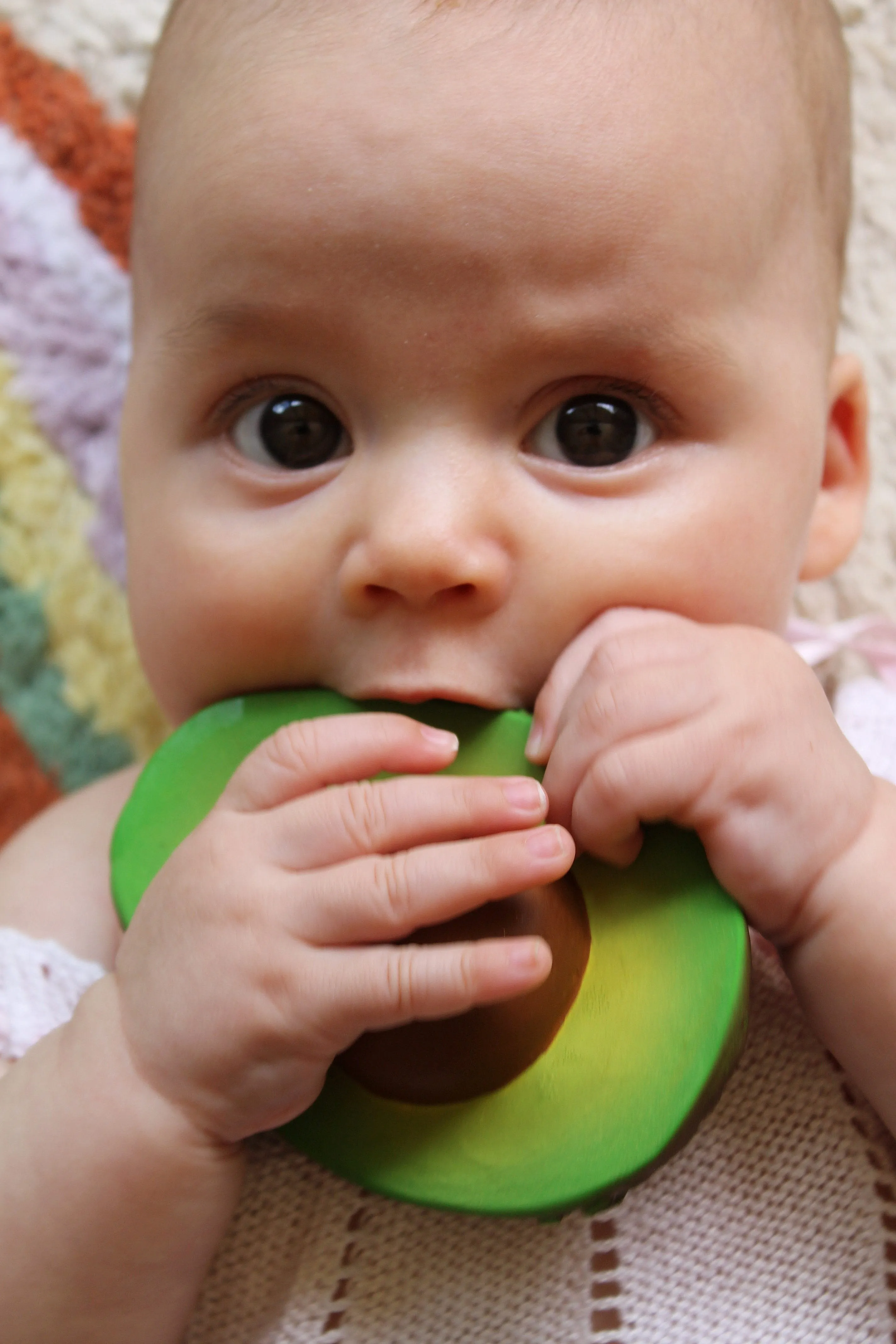 Arnold the Avocado Teether by Oli & Carol