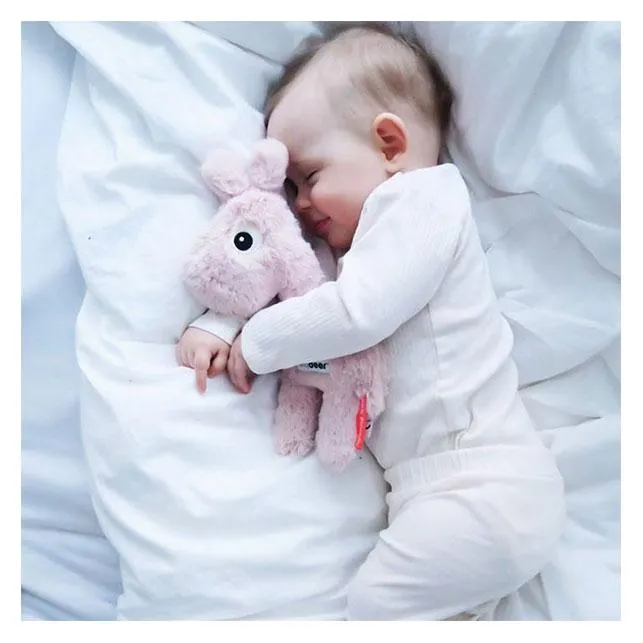 Cuddle Cute - Raffi
