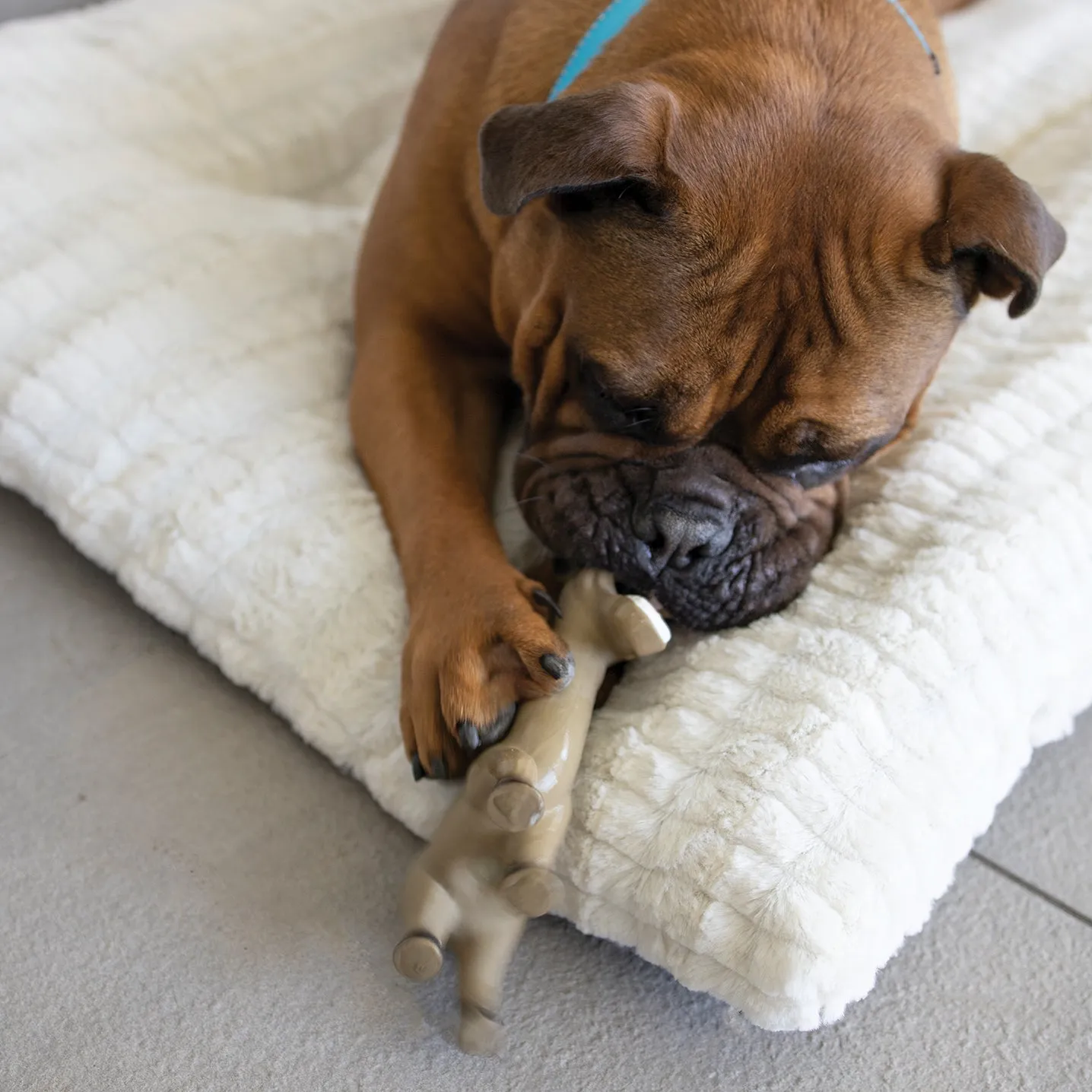 Dinky Donkey Dog Toy