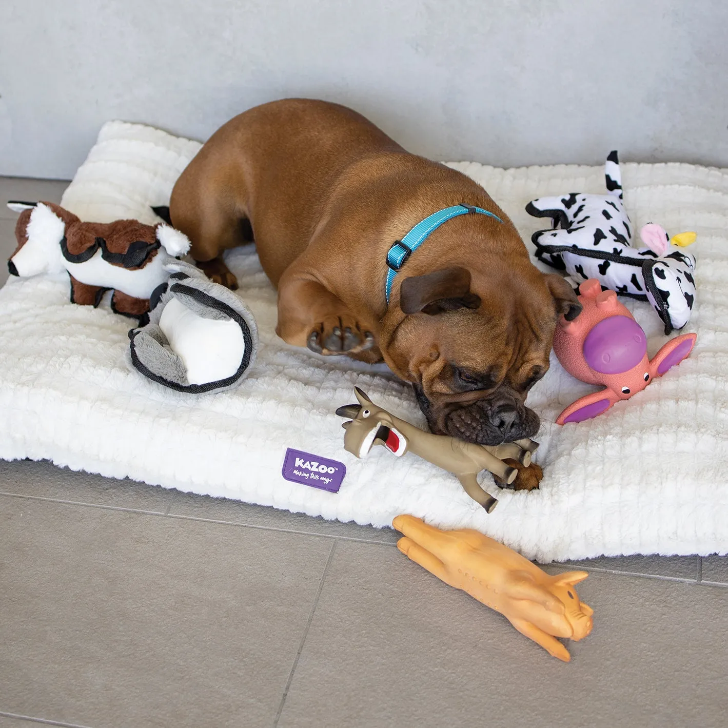Dinky Donkey Dog Toy