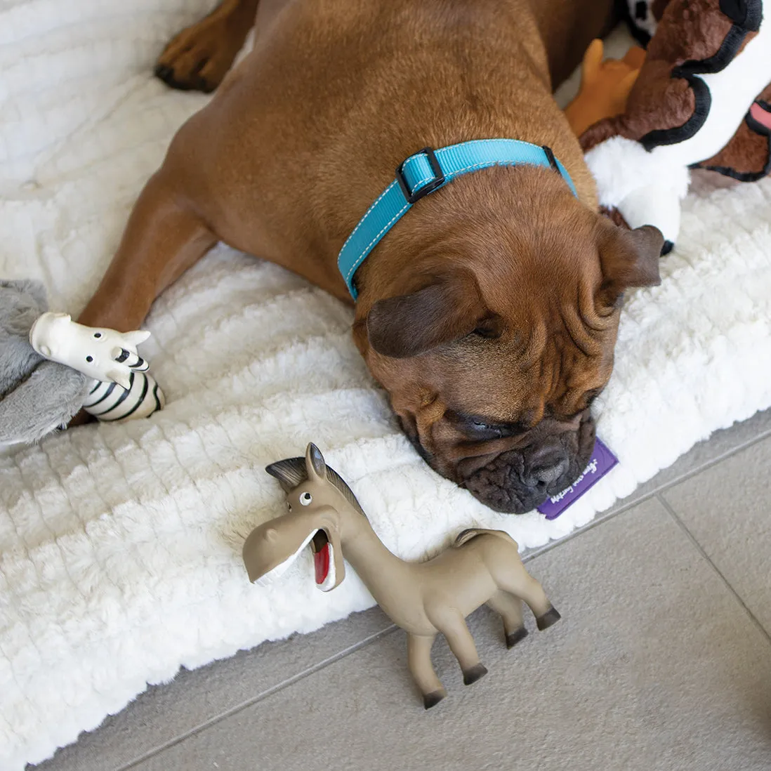 Dinky Donkey Dog Toy