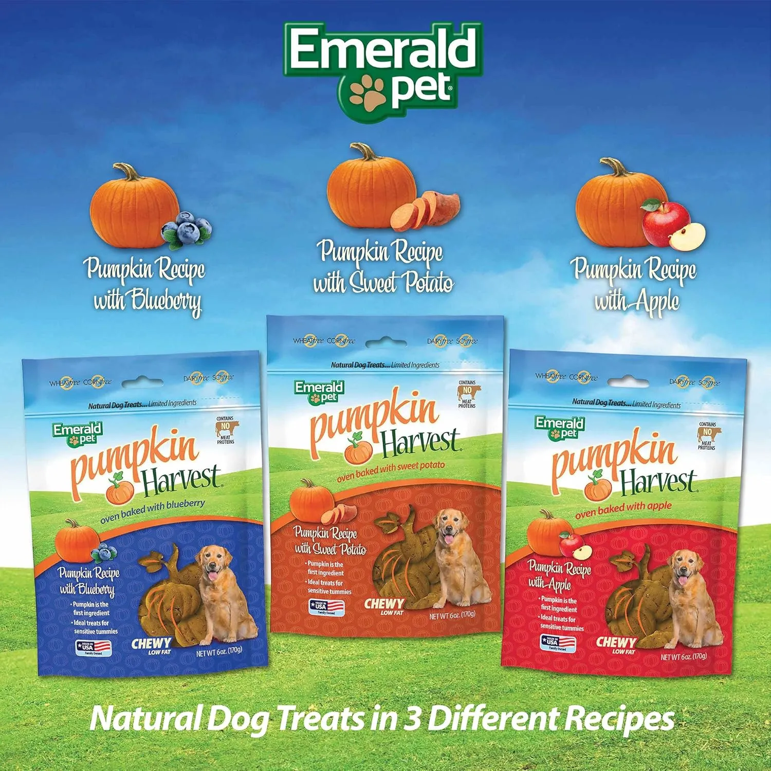 Emerald Pet Harvest  Low-Fat Chewy Natural with for Digestive Health  Meat Free, Poultry Free, Wheat Free  Blueberry, 6 oz