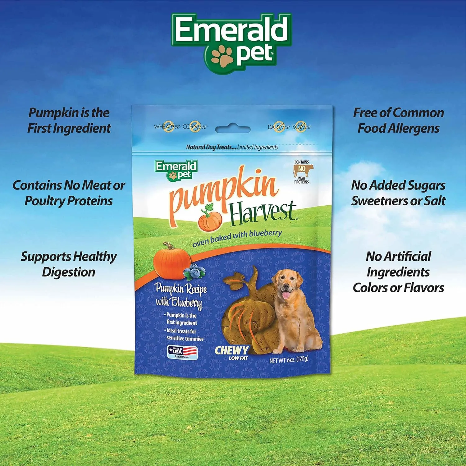 Emerald Pet Harvest  Low-Fat Chewy Natural with for Digestive Health  Meat Free, Poultry Free, Wheat Free  Blueberry, 6 oz