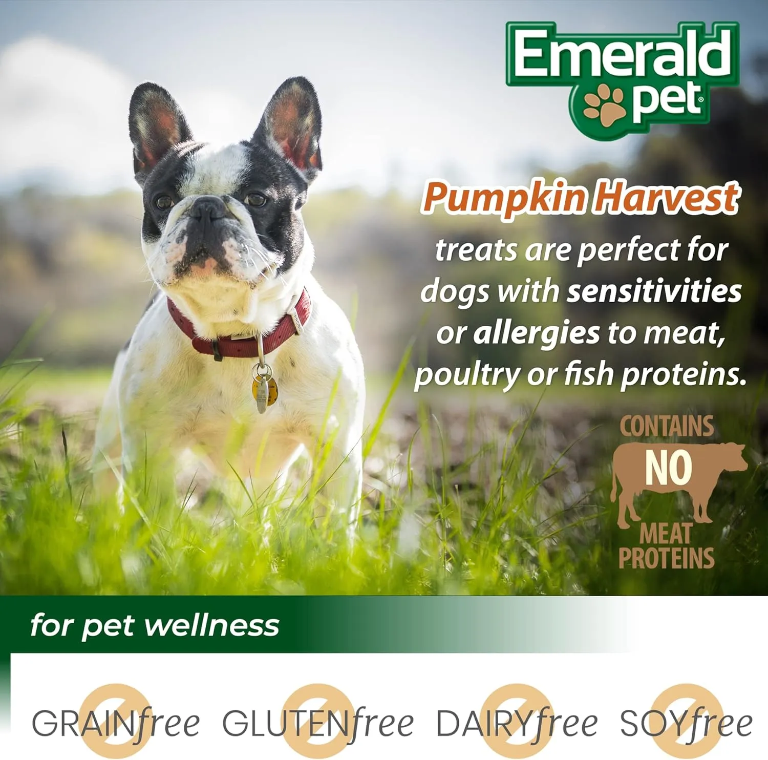 Emerald Pet Harvest  Low-Fat Chewy Natural with for Digestive Health  Meat Free, Poultry Free, Wheat Free  Blueberry, 6 oz