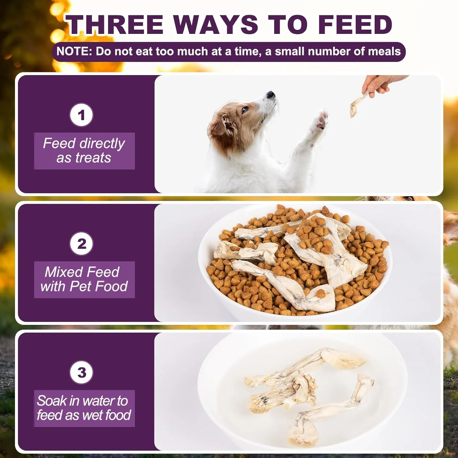Freeze-Dried Bullfrog Cat Dog Treats - Single Ingredient Pet Snacks High-Protein,Grain-Free,Supports Teeth & Joints (2-3 Frogs)