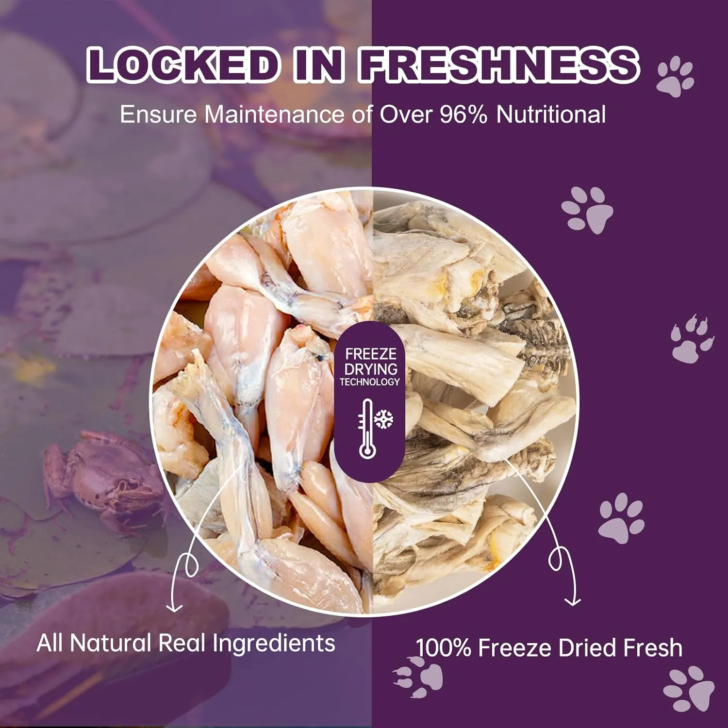 Freeze-Dried Bullfrog Cat Dog Treats - Single Ingredient Pet Snacks High-Protein,Grain-Free,Supports Teeth & Joints (2-3 Frogs)