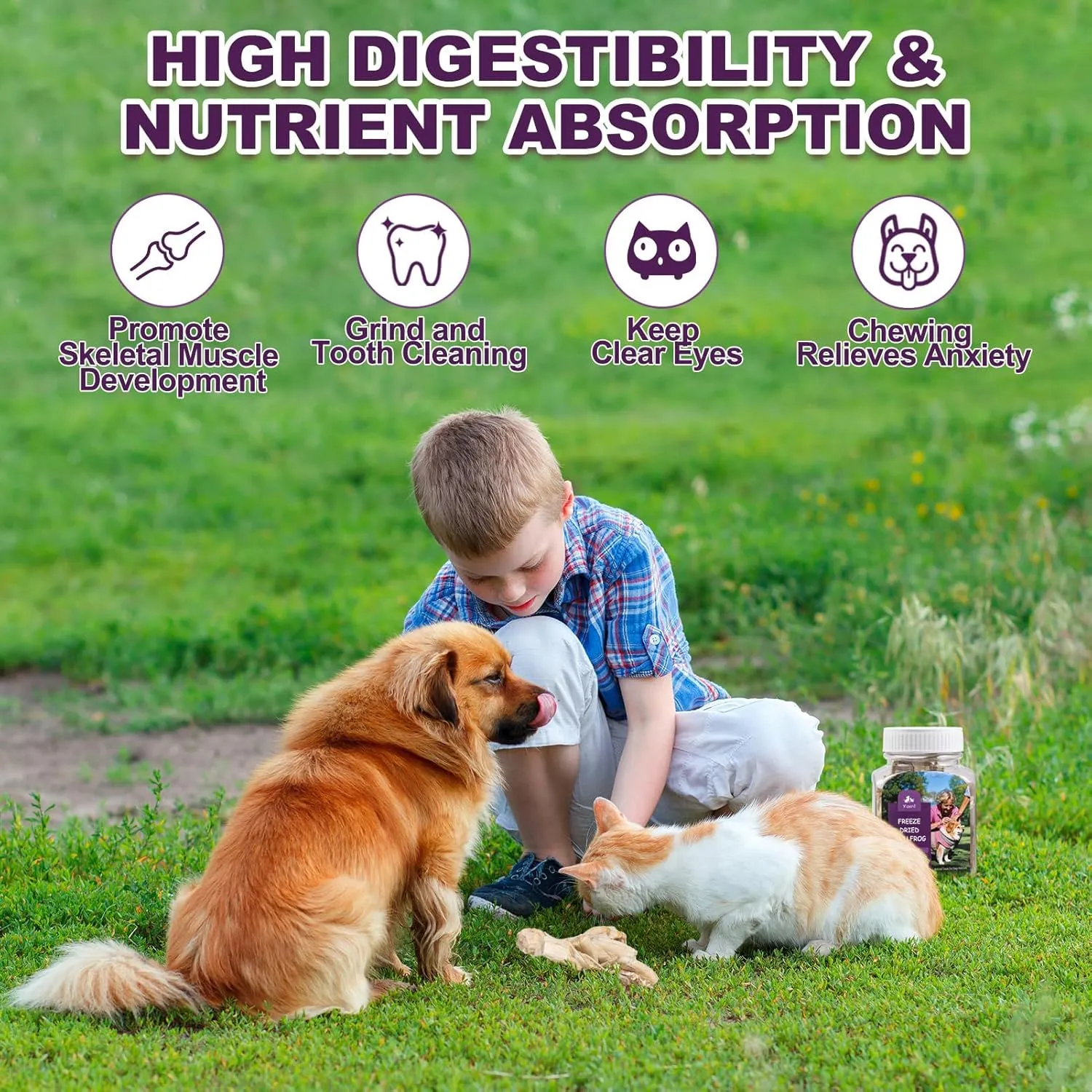 Freeze-Dried Bullfrog Cat Dog Treats - Single Ingredient Pet Snacks High-Protein,Grain-Free,Supports Teeth & Joints (2-3 Frogs)