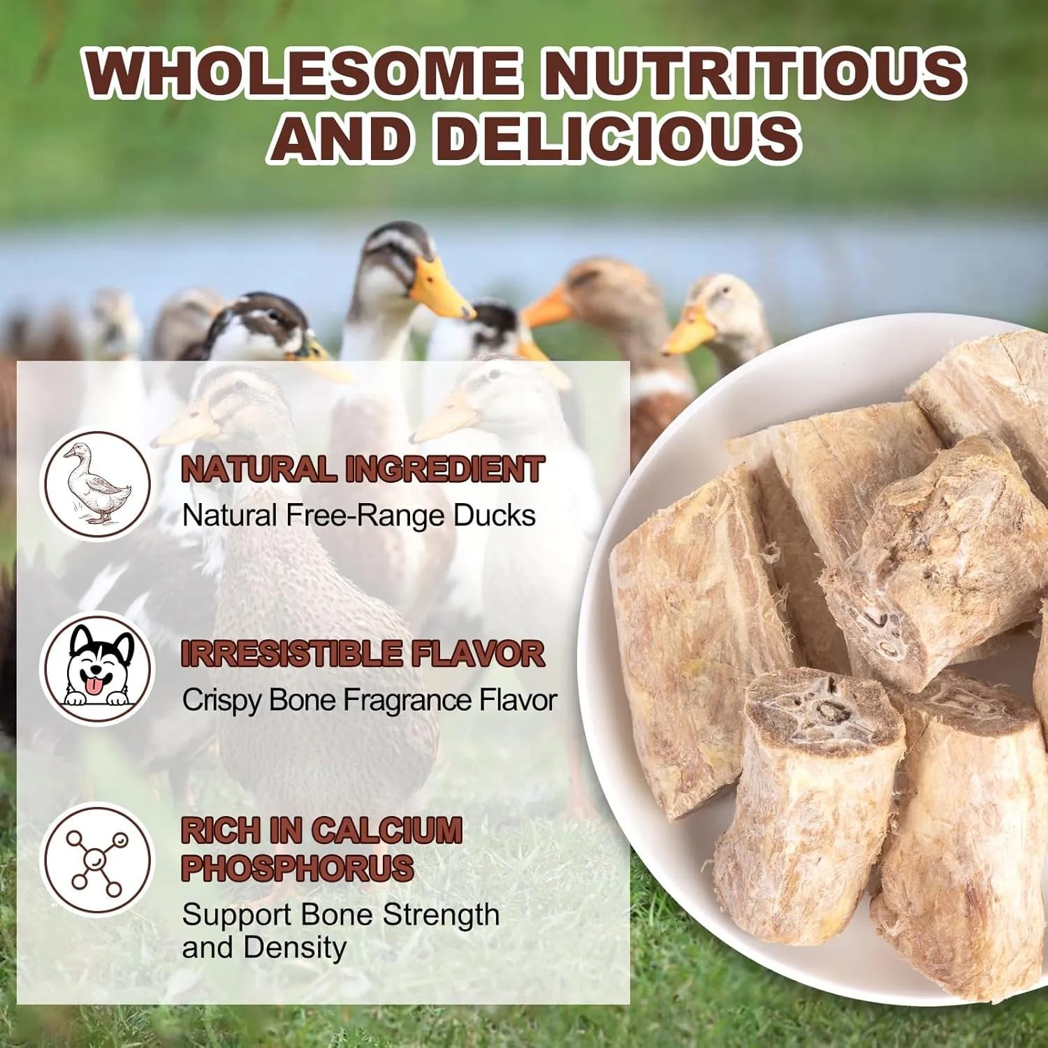 Freeze Dried Duck Necks Dog Cat Treats  High Protein Pet Snack Single Ingredient,Grain Free Dental Chews for Teeth Cleaning (13Pcs)