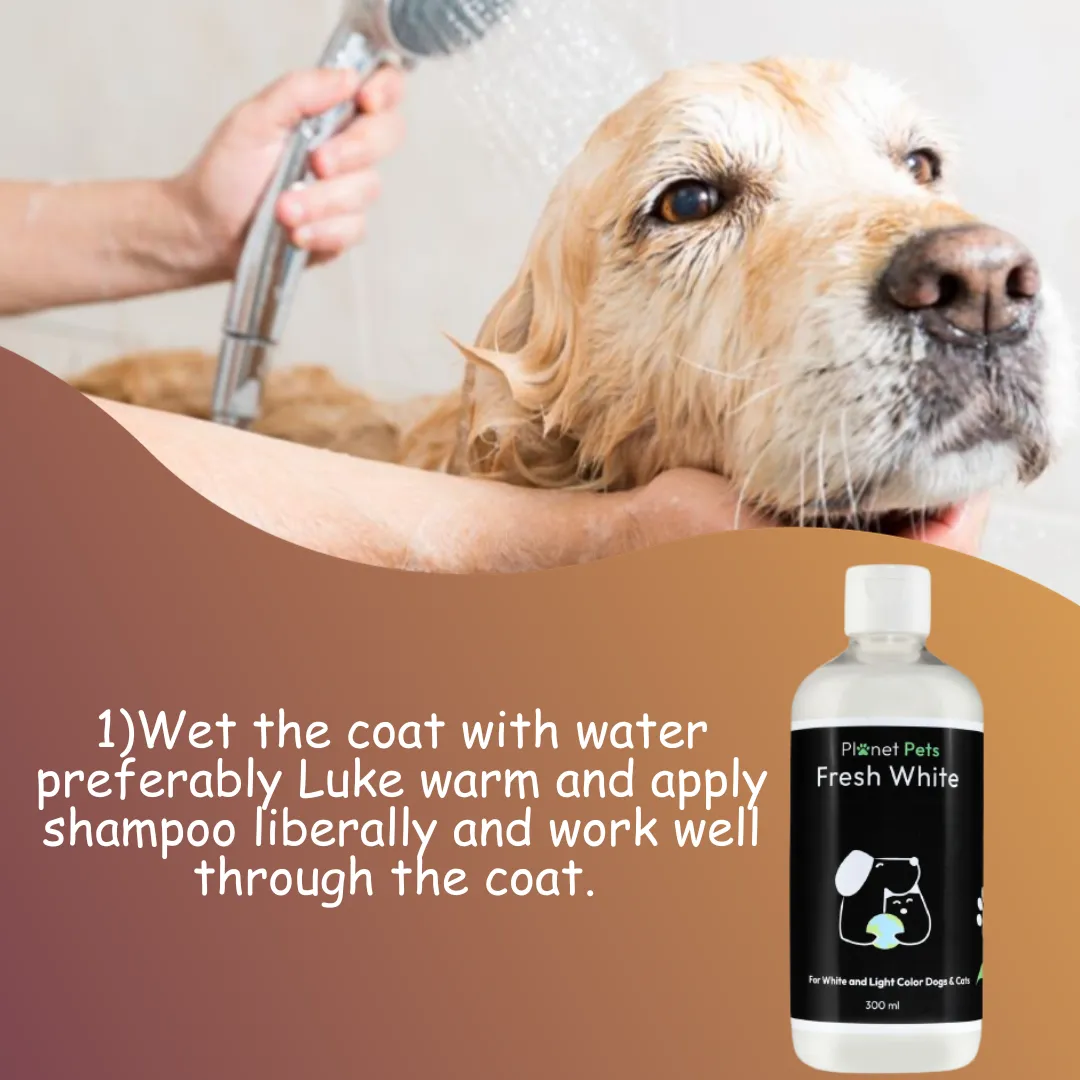 Fresh White Pet Shampoo | Best Dog Shampoo