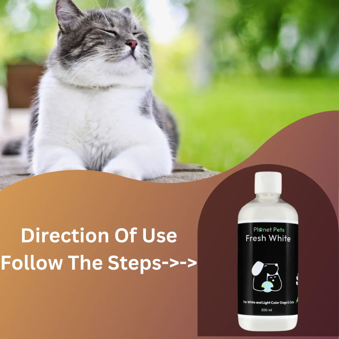 Fresh White Pet Shampoo | Best Dog Shampoo