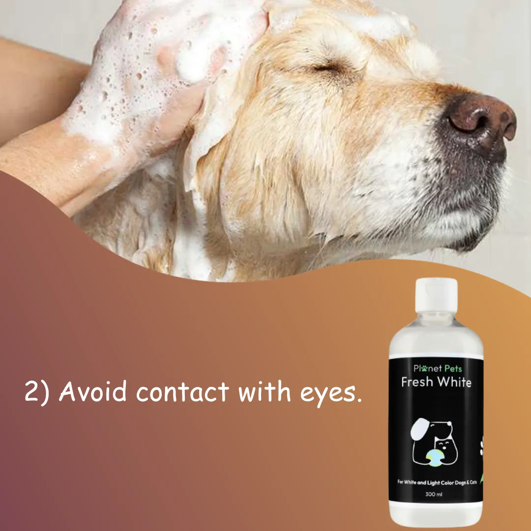 Fresh White Pet Shampoo | Best Dog Shampoo