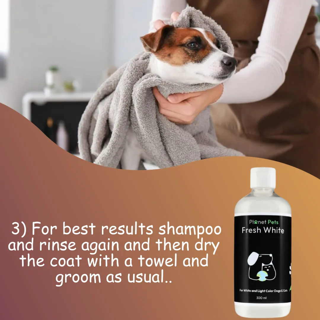 Fresh White Pet Shampoo | Best Dog Shampoo