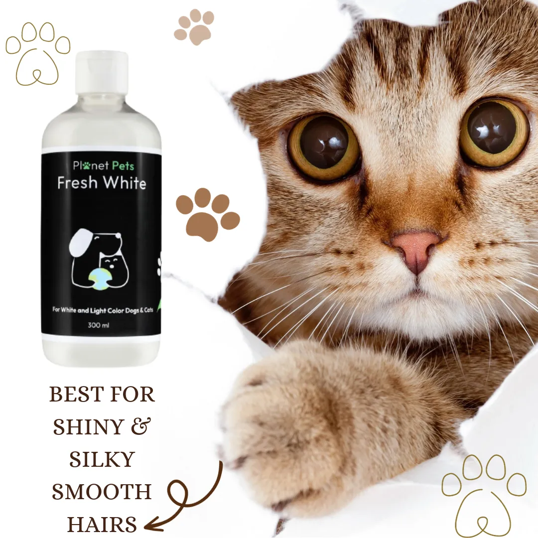 Fresh White Pet Shampoo | Best Dog Shampoo