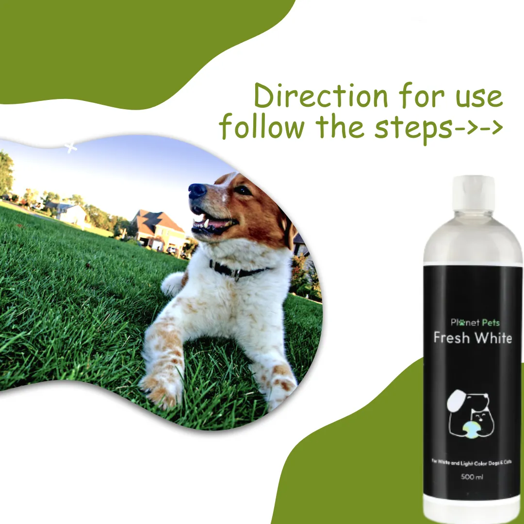 Fresh White Pet Shampoo | Best Dog Shampoo
