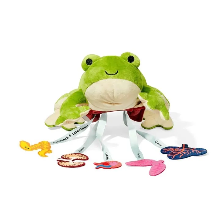 Froggie Dissection Toy by KiwiCo