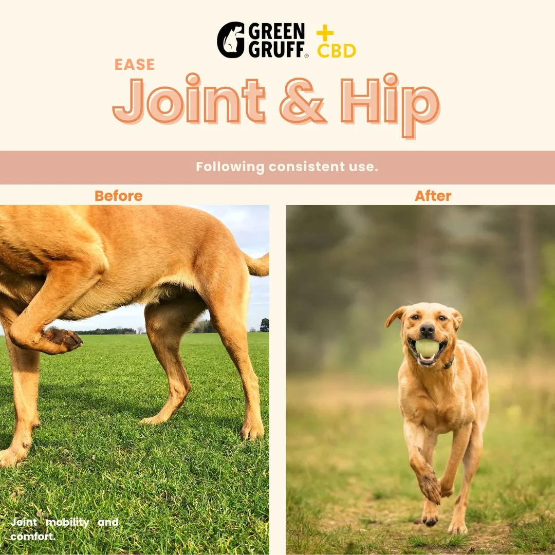 Joint & Hip CBD Supplements For Dogs