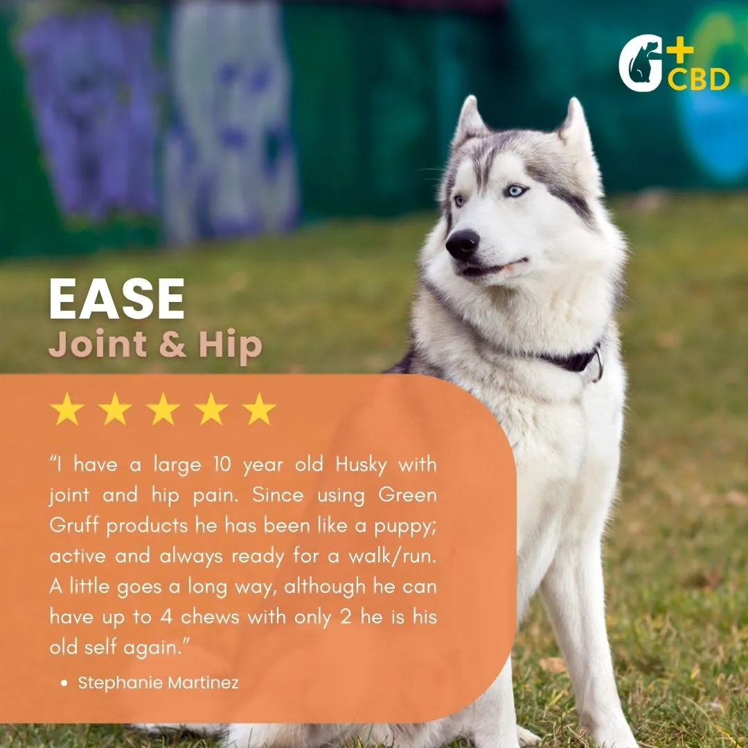 Joint & Hip CBD Supplements For Dogs