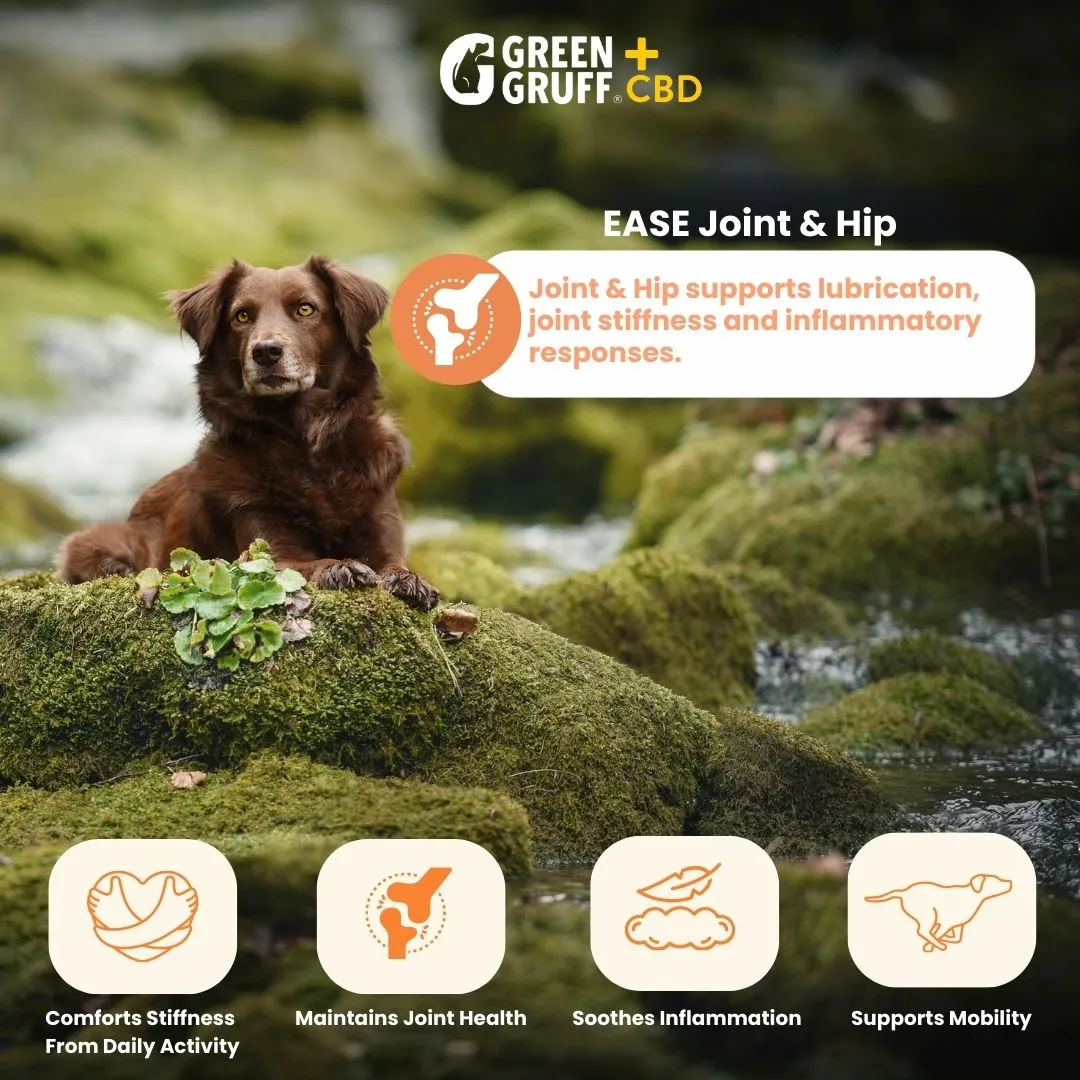 Joint & Hip CBD Supplements For Dogs
