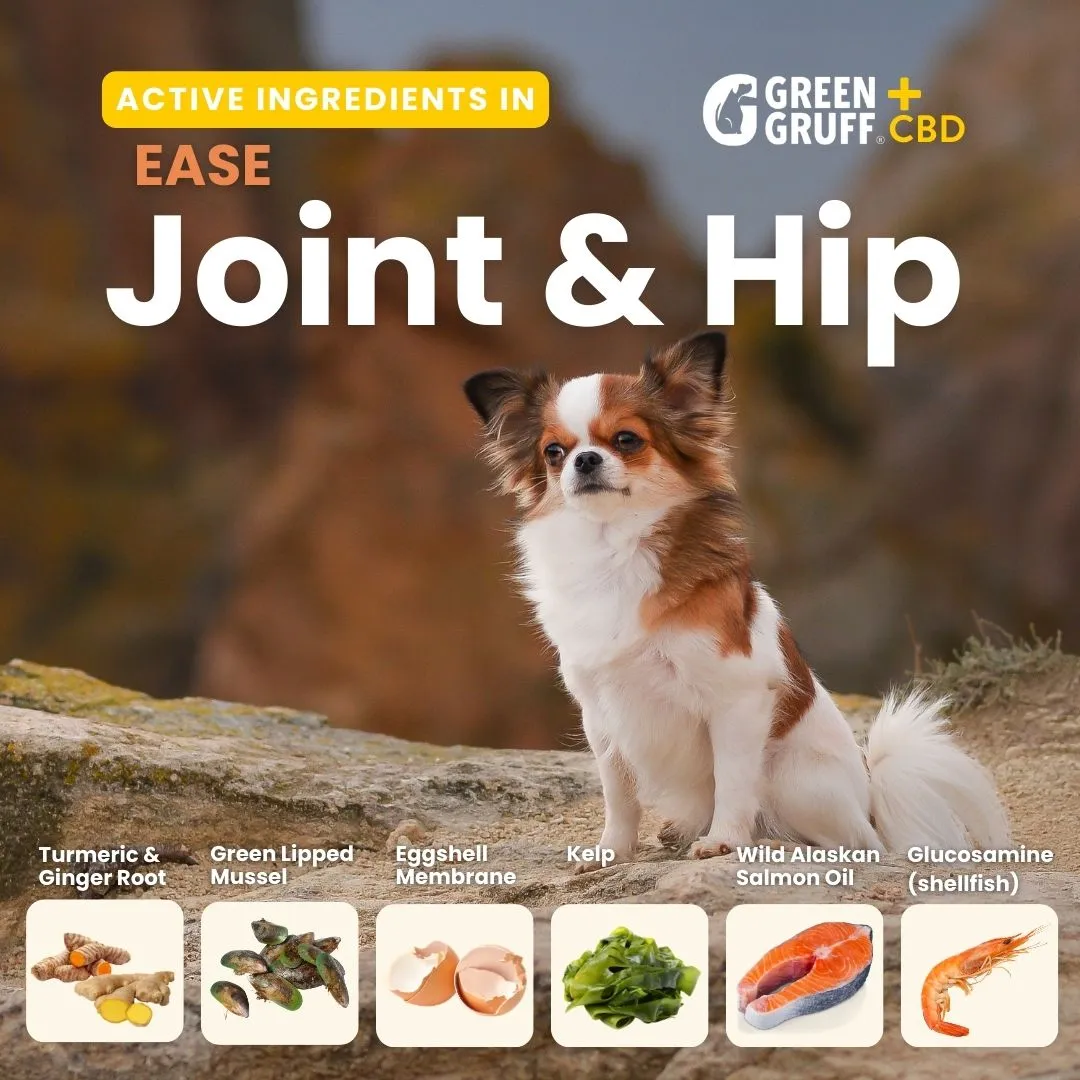 Joint & Hip CBD Supplements For Dogs