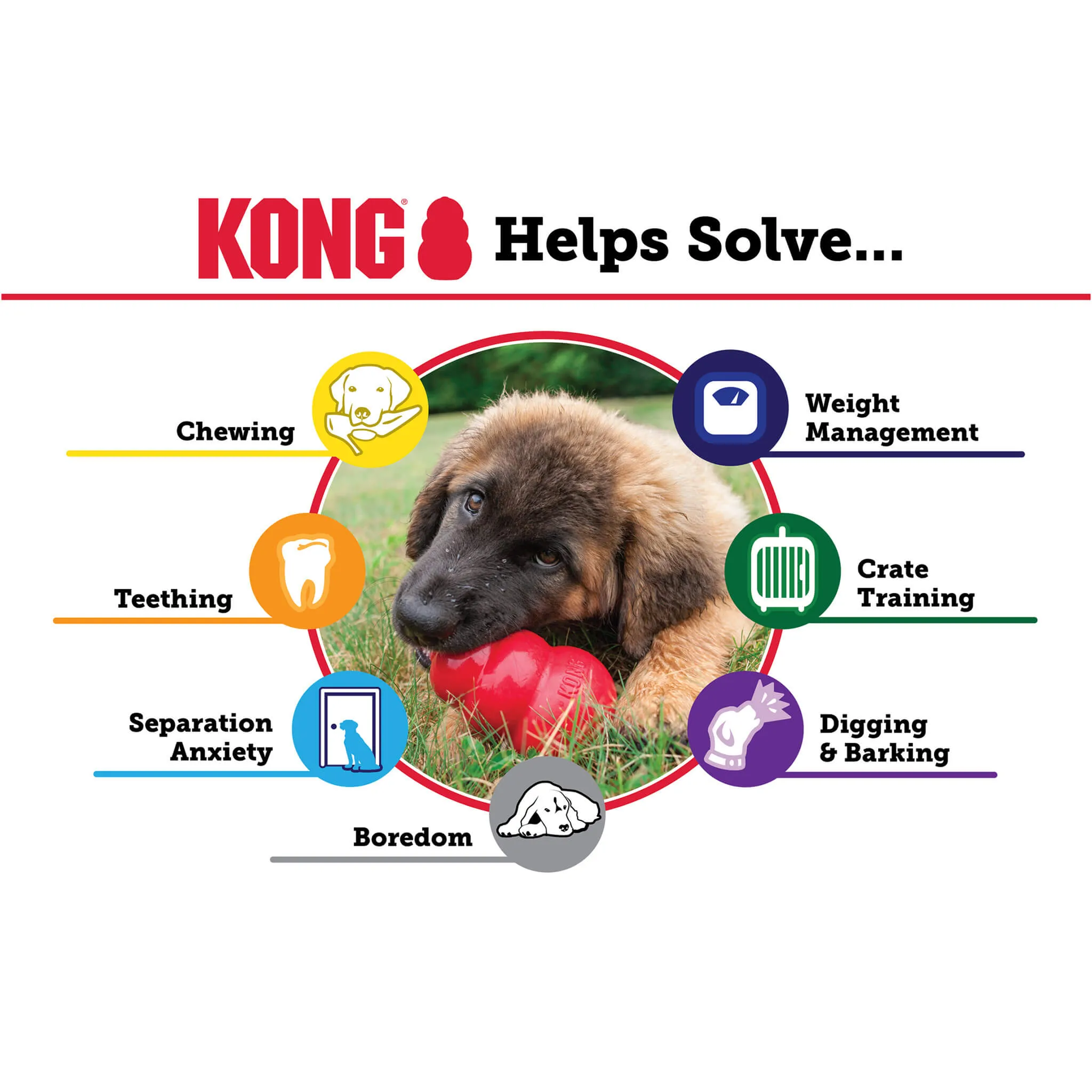 KONG Classic Natural Rubber Treat Stuffer Dog Chew Toy