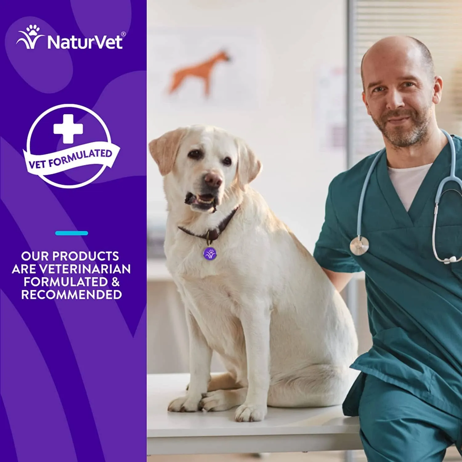 Naturvet Evolutions Anchovy   Allergy and Joint Support Soft Chews Dog Supplements - 180 Count