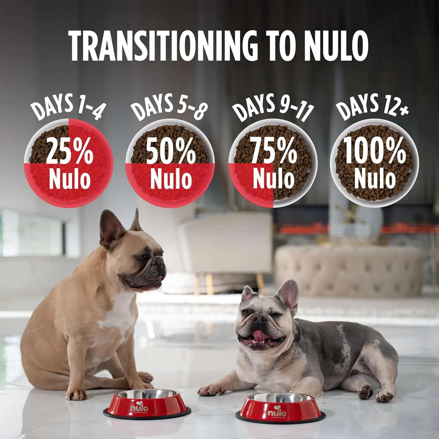 Nulo Frontrunner Ancient Grains High-Protein Dog Food, Beef, Barley, & Lamb Recipe- Natural Dry Dog Food with Probiotics, Grain-Inclusive Kibble for Adult Dogs, 5 lb Bag