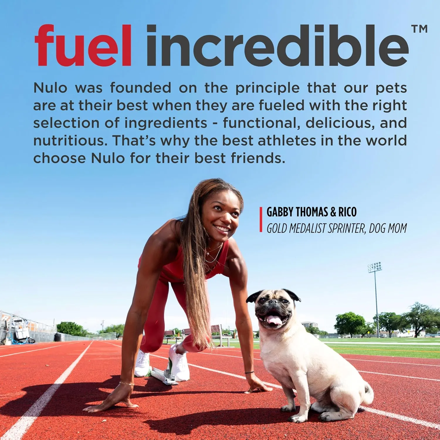 Nulo Frontrunner Ancient Grains High-Protein Dog Food, Beef, Barley, & Lamb Recipe- Natural Dry Dog Food with Probiotics, Grain-Inclusive Kibble for Adult Dogs, 5 lb Bag