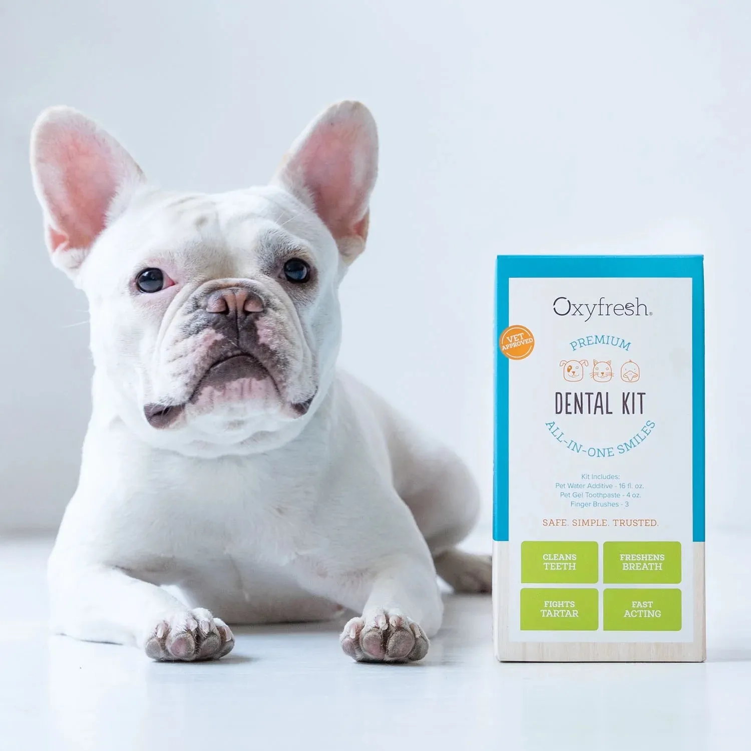 Pet Dental Kit