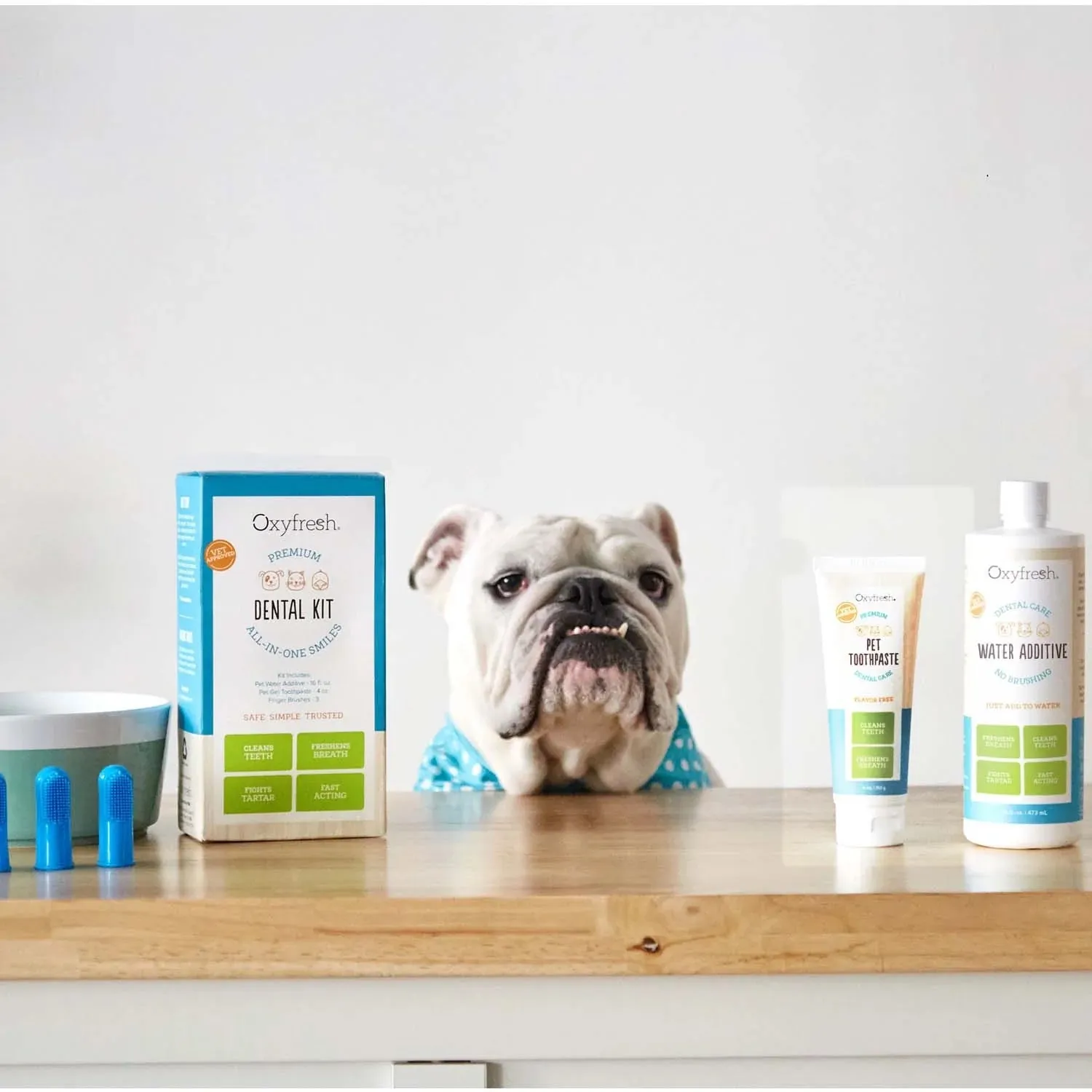 Pet Dental Kit