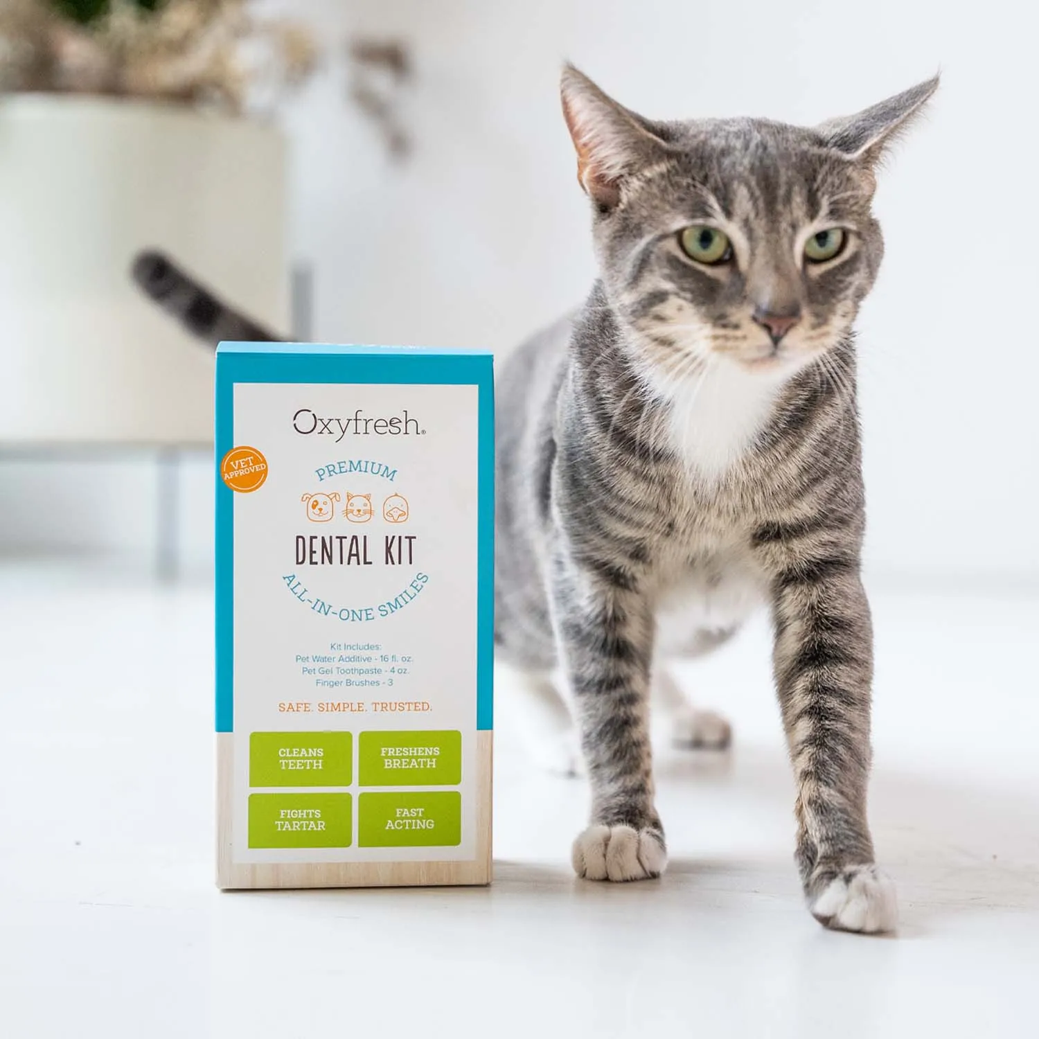 Pet Dental Kit