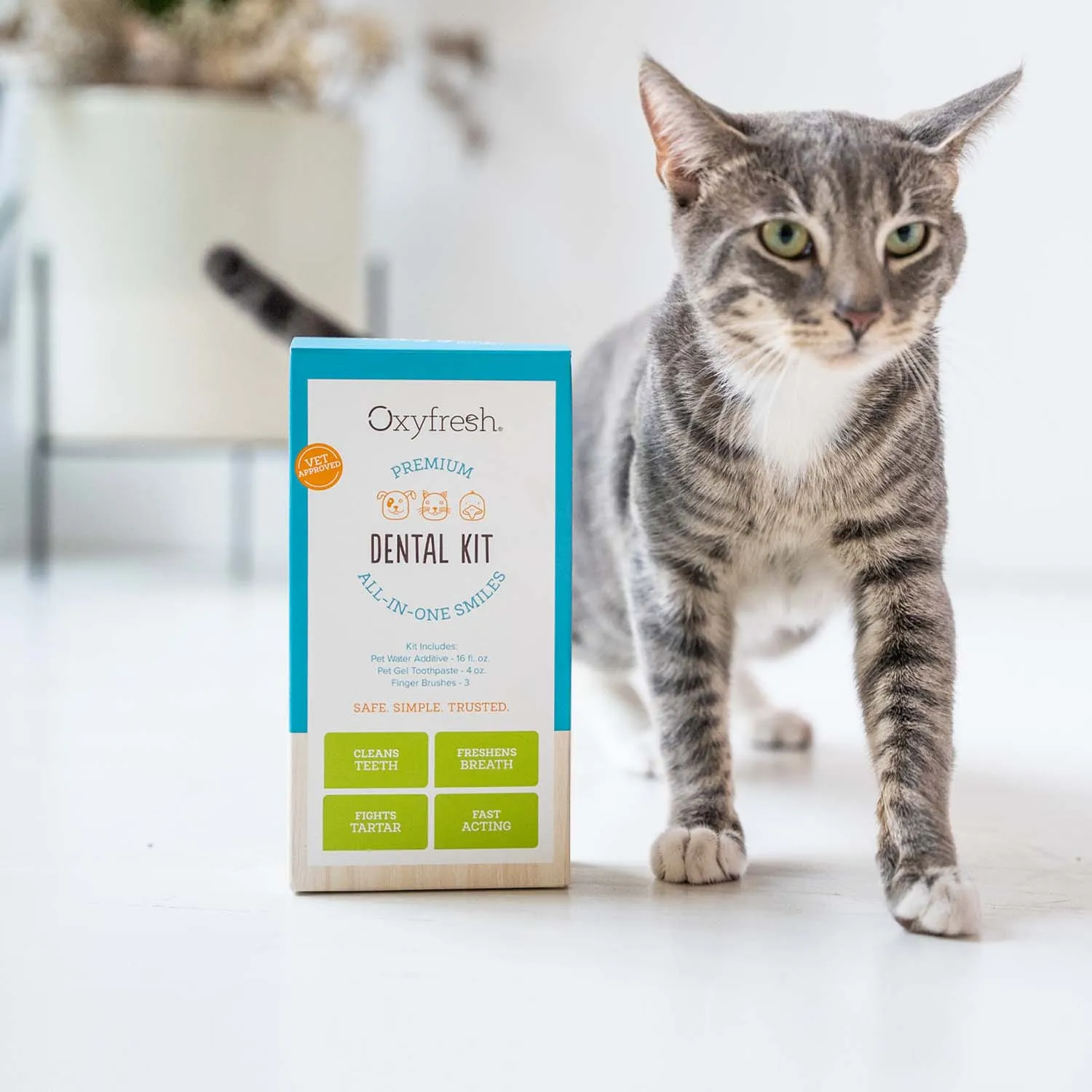 Pet Dental Kit