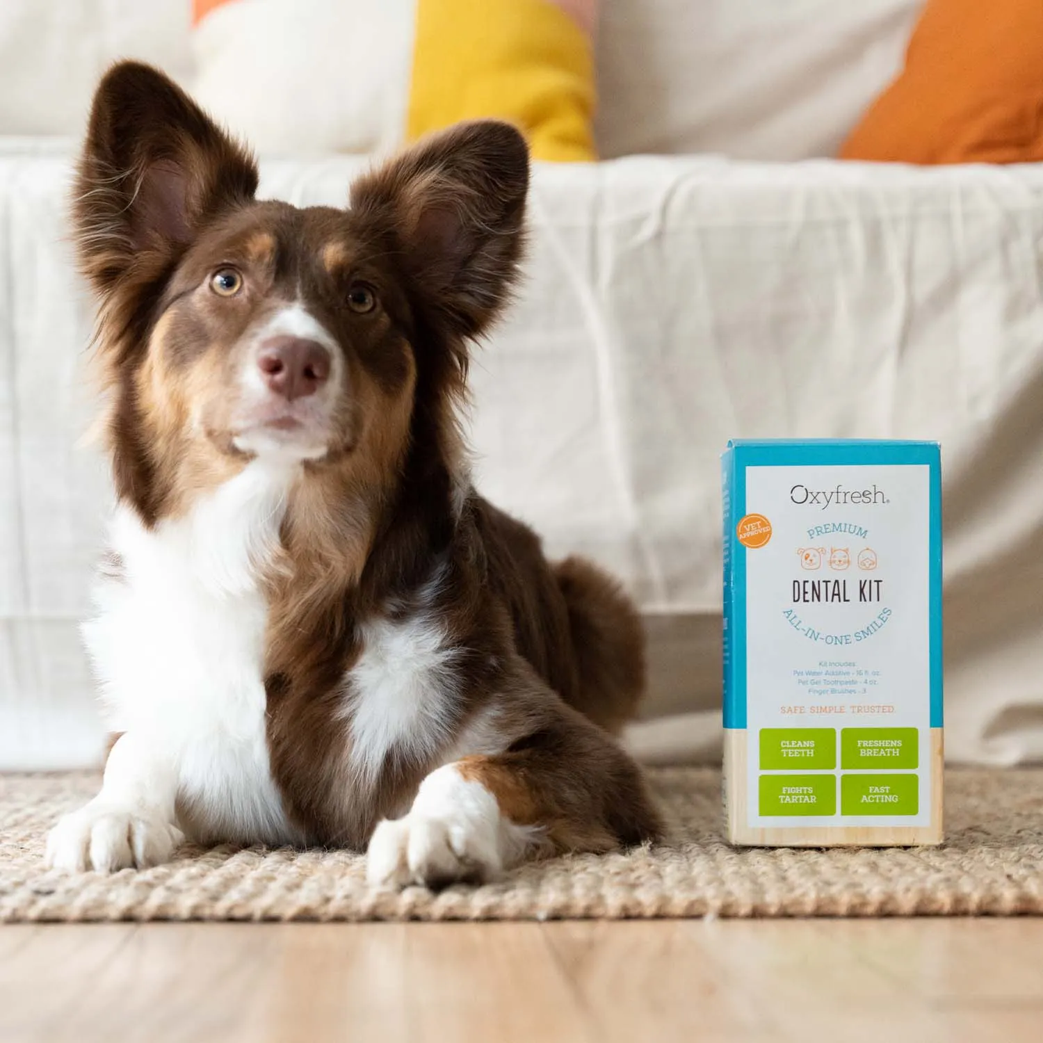 Pet Dental Kit