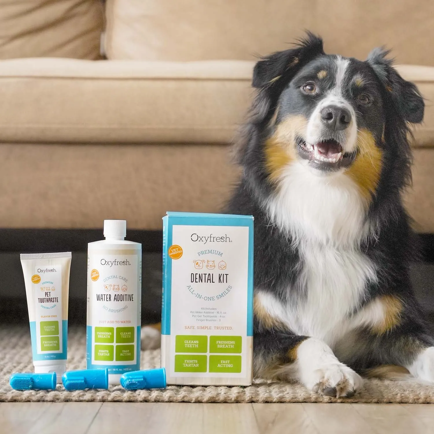 Pet Dental Kit