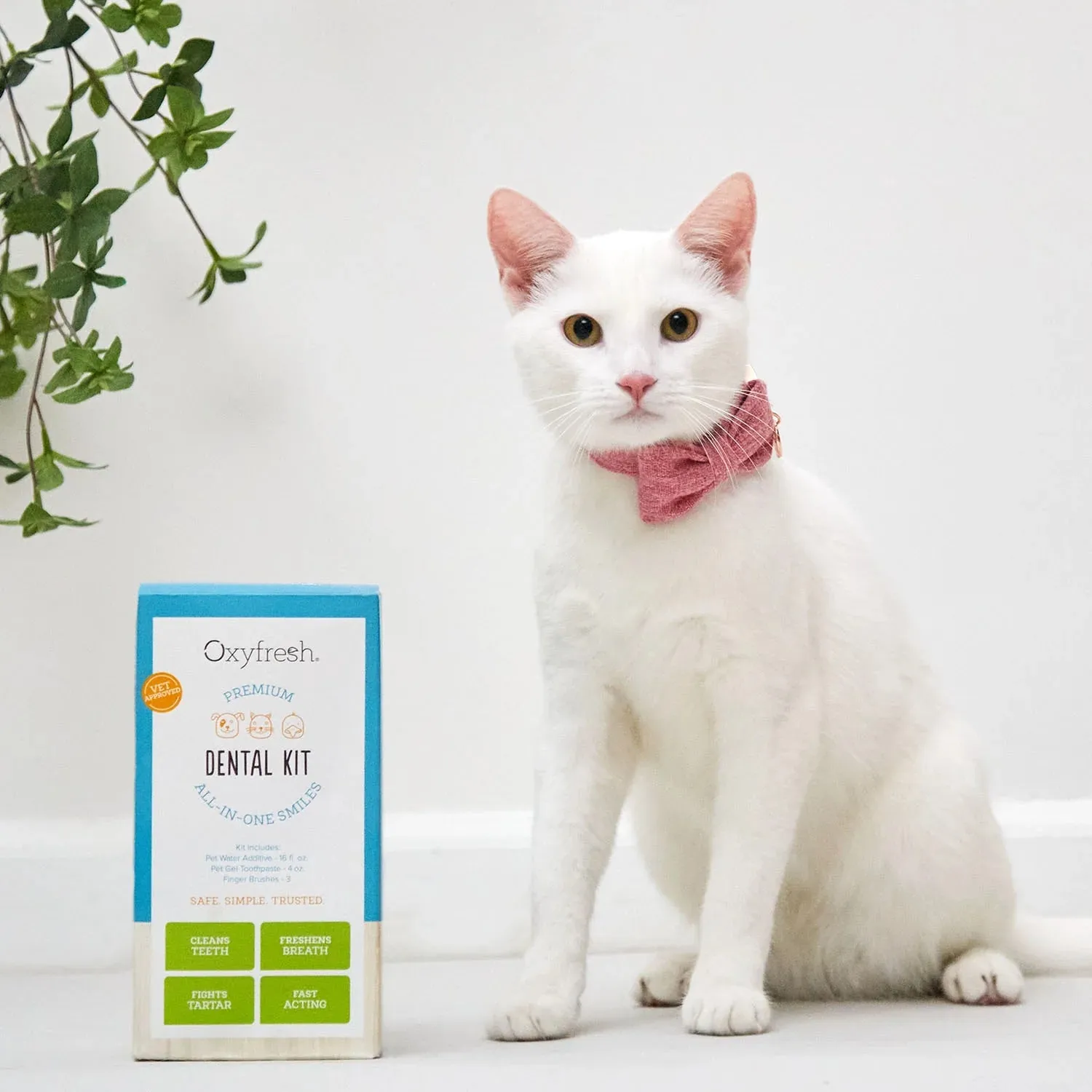 Pet Dental Kit