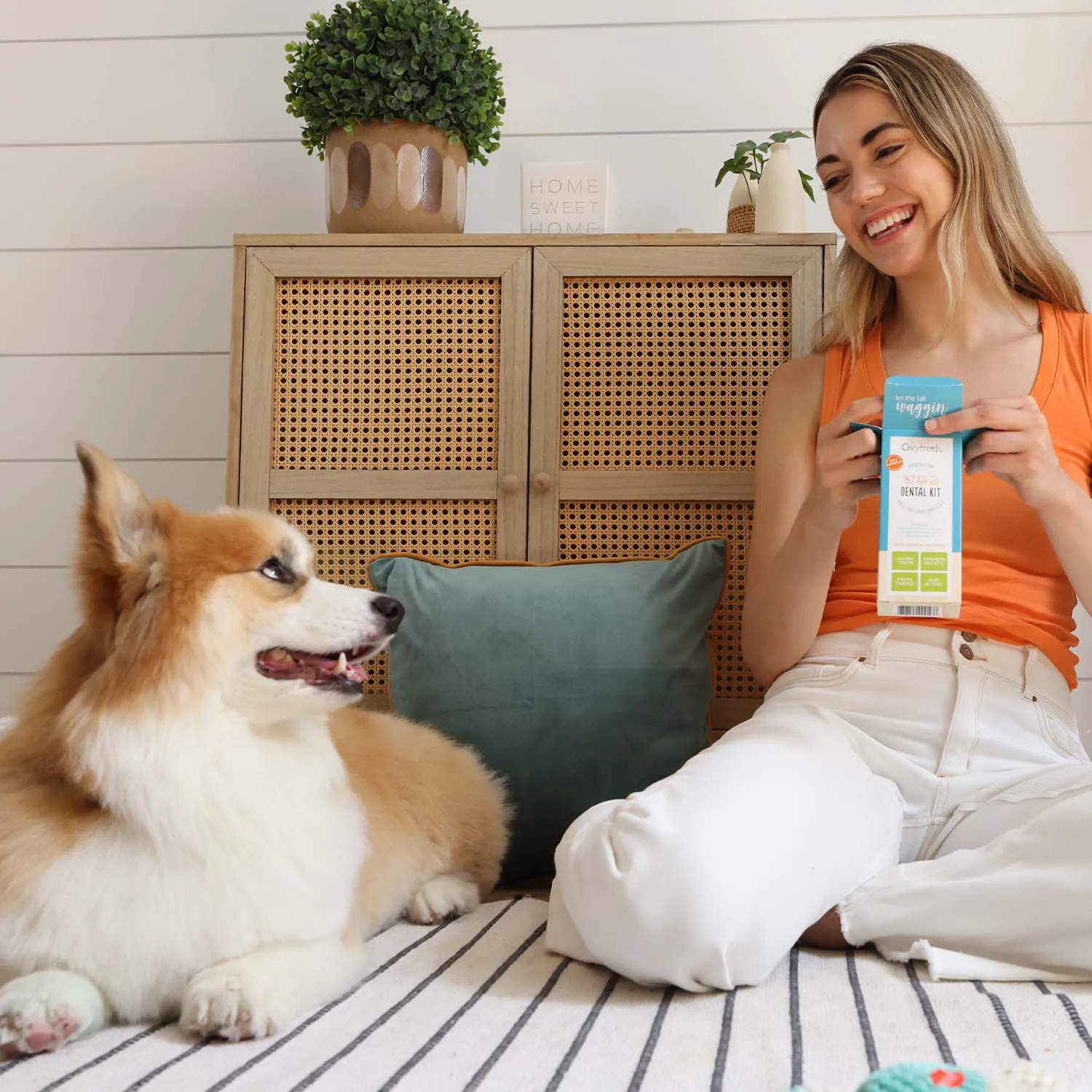 Pet Dental Kit