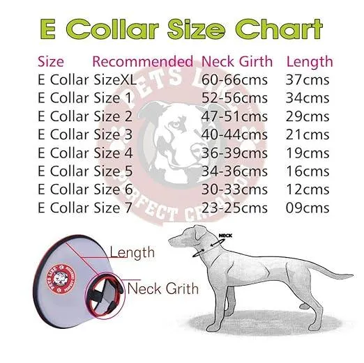 Pet Water Dispenser Cat and Dog Fountain Water Dispenser 2L Stainless Steel Automatic Drinker Dog Cat Drinking Bowl USB Powered Pet Supplies
