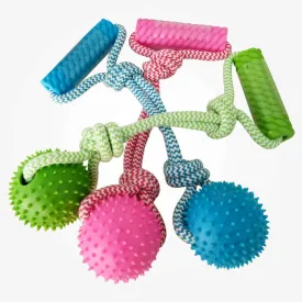 Rubber Chew Training Pet Dog Toy