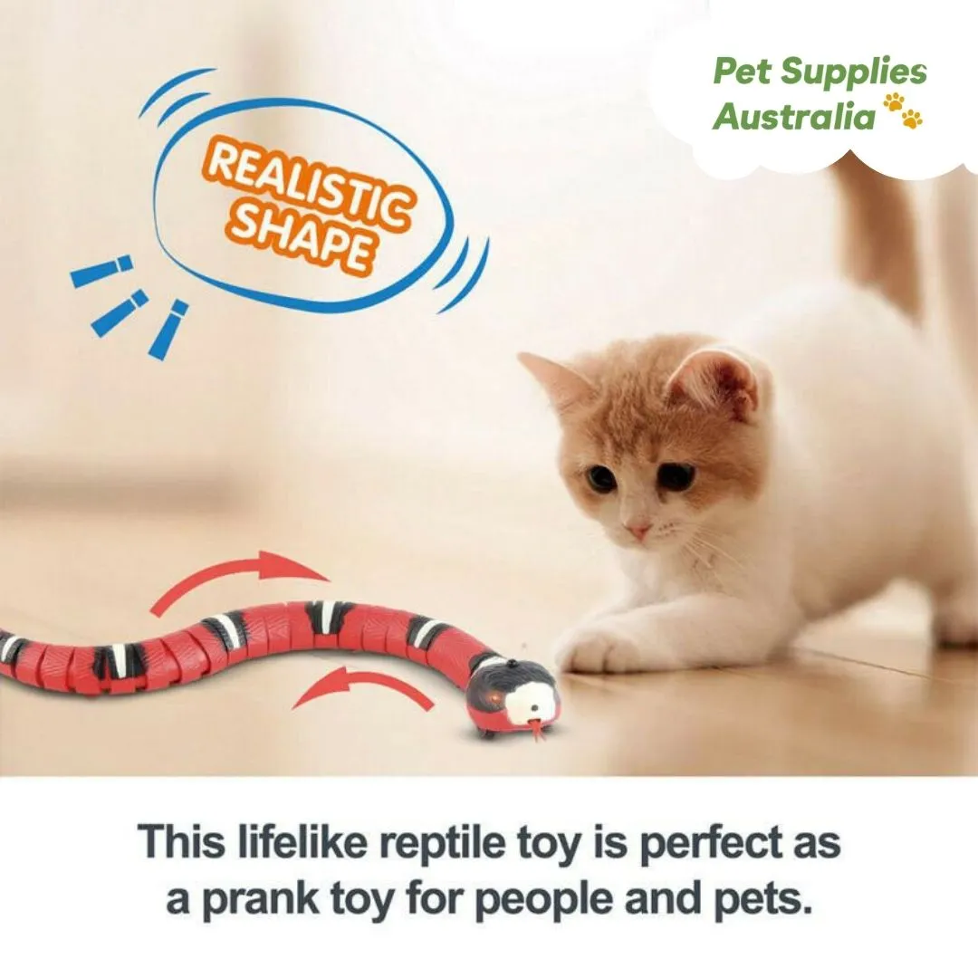 Smart Sensing Snake