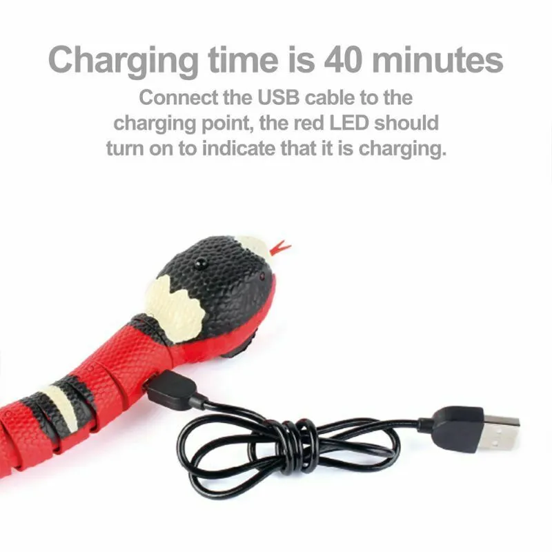 Smart Sensing Snake