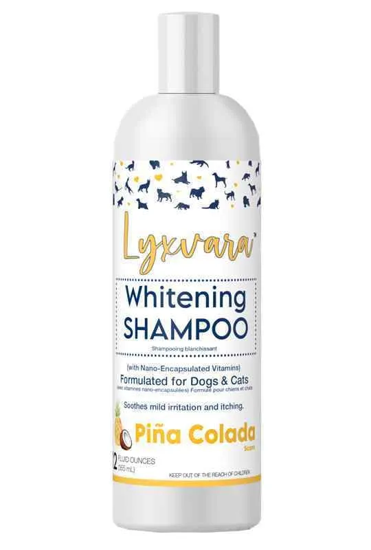 Swedencare Lyxvara Bright Whitening Shampoo - Pina Colada - 12 oz.