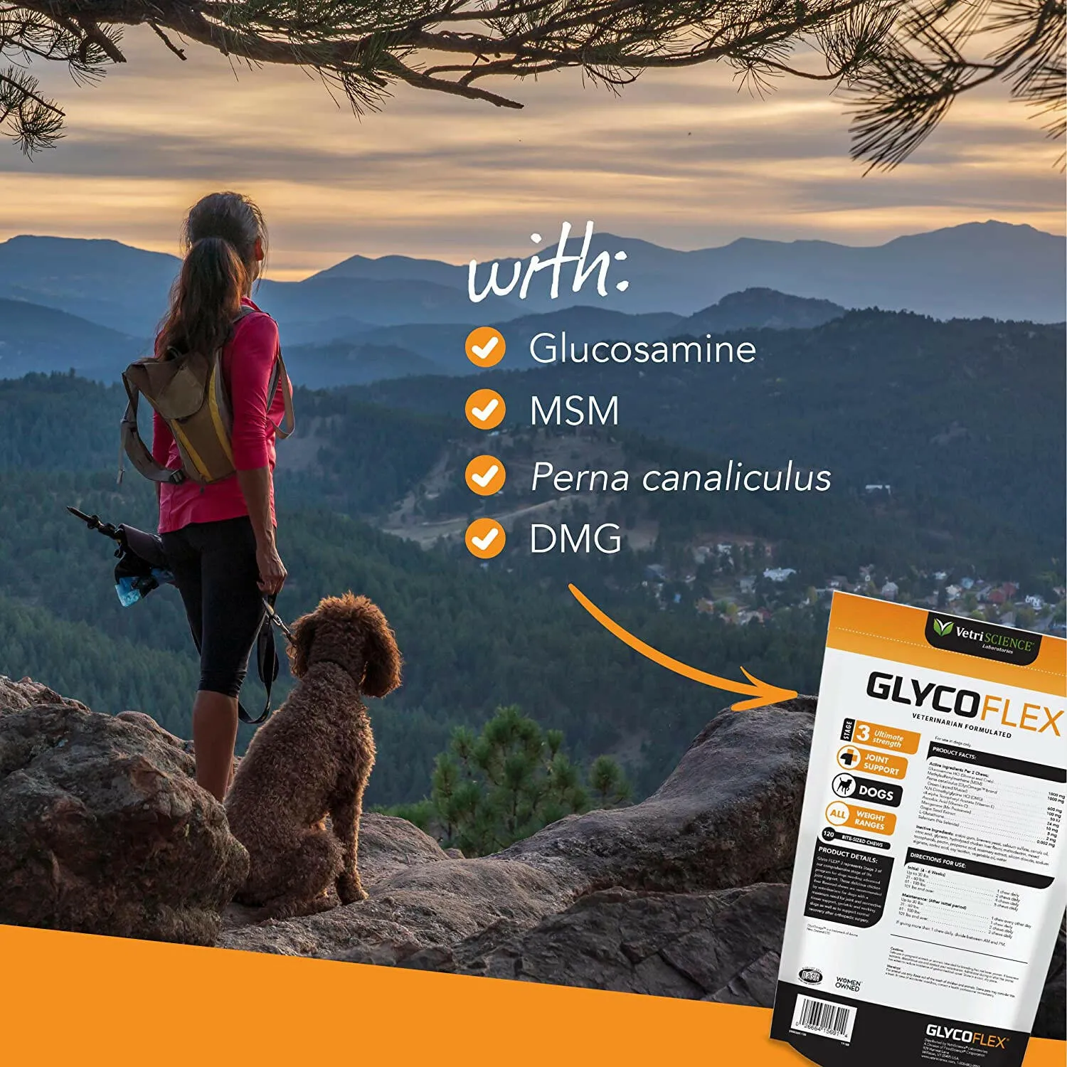 VetriScience GlycoFlex Stage 3 Joint Supplement for Dogs (120 soft chews)