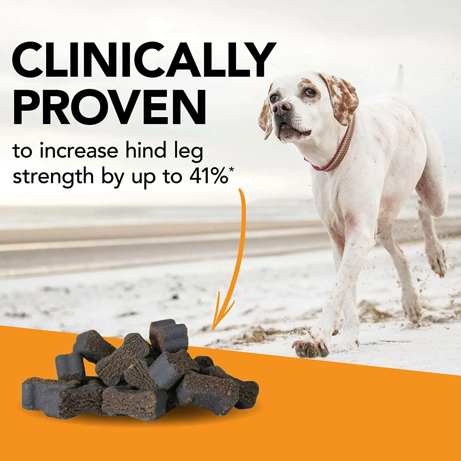 VetriScience GlycoFlex Stage 3 Joint Supplement for Dogs (120 soft chews)