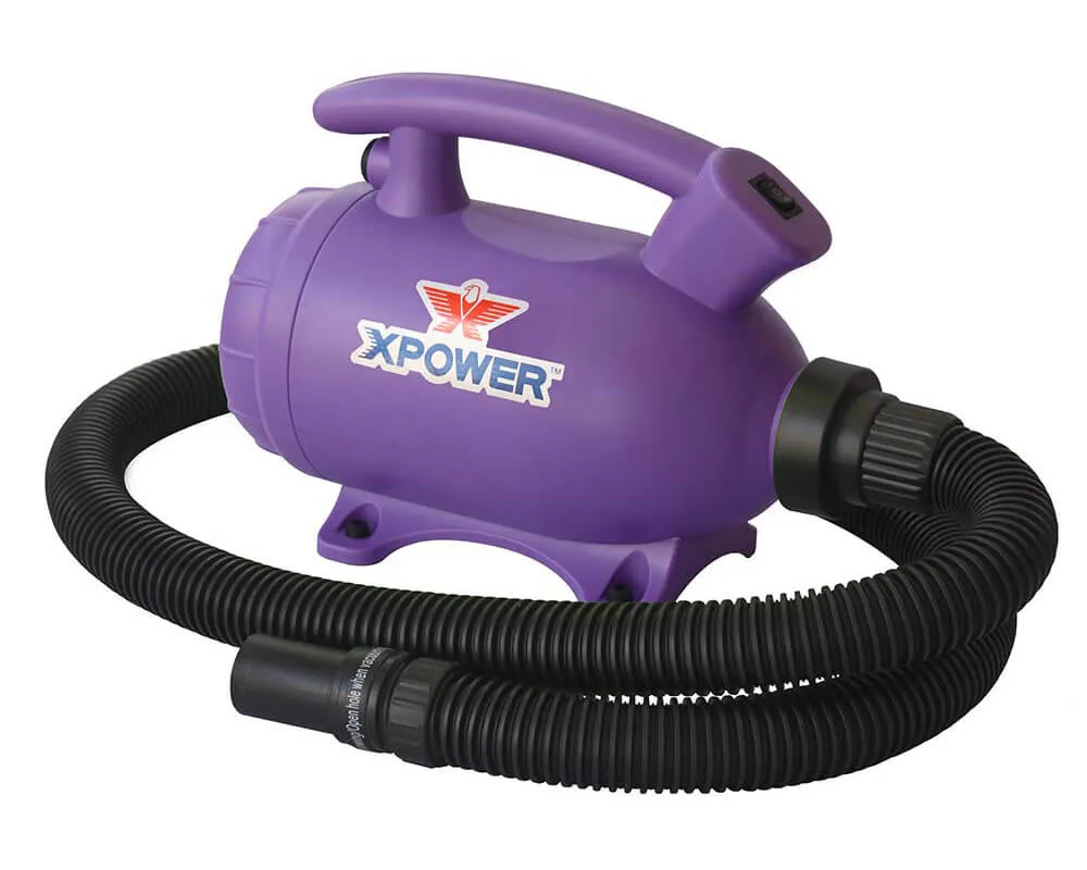 XPOWER B-55 2-in-1 Pet Force Hair Dryer and Vacuum