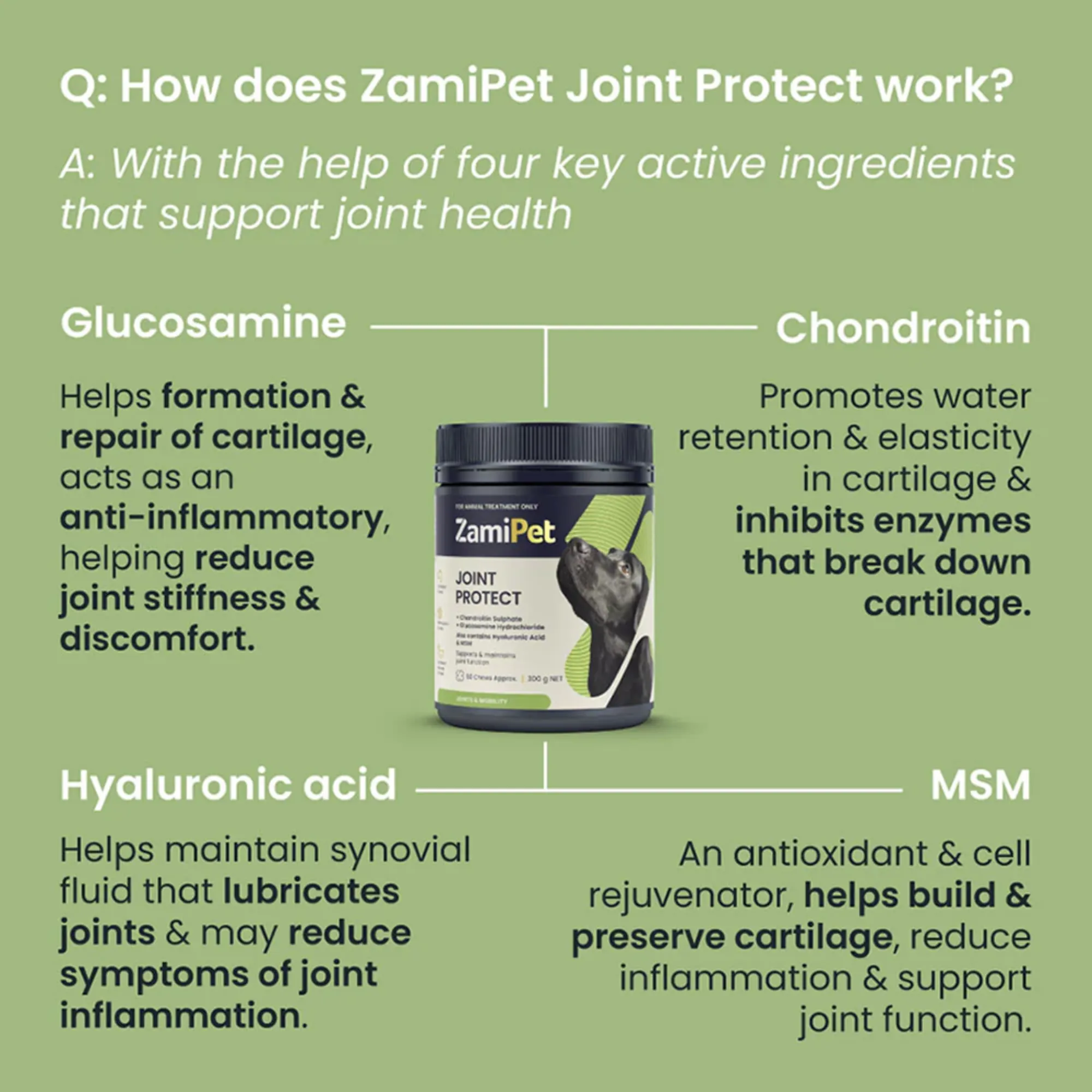 ZamiPet Joint Protect Chews for Dogs