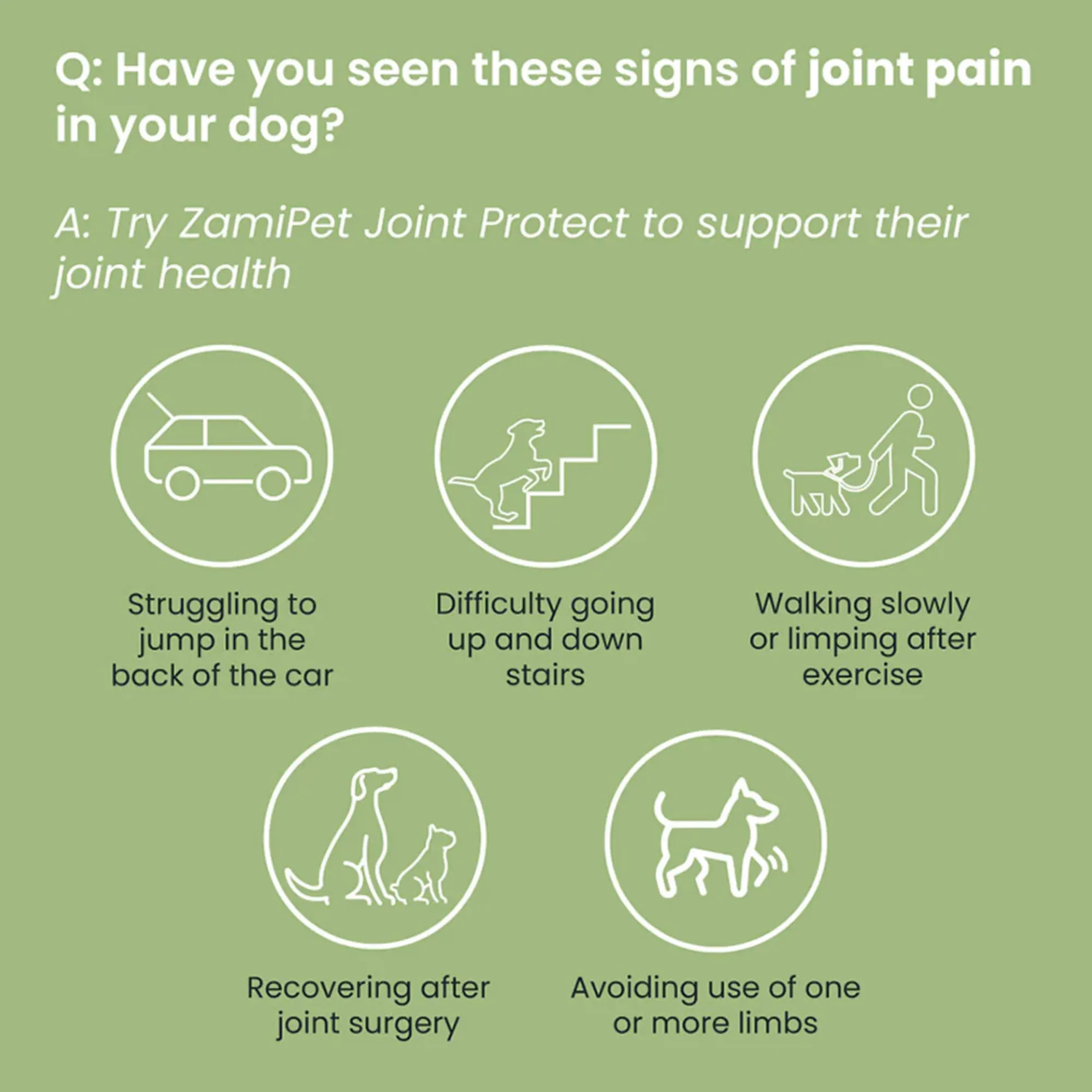 ZamiPet Joint Protect Chews for Dogs